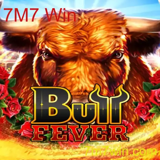 Explorando o Universo Empolgante de BullFever