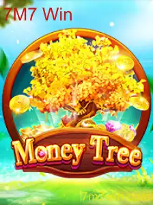Explorando o Universo de MoneyTree: Um Jogo de Estratégia e Sorte